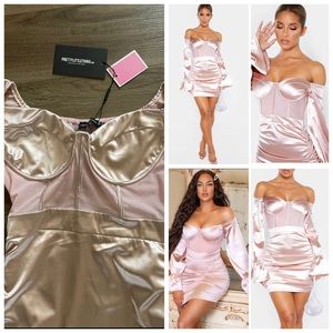 Pink Bardot Satin Mesh Insert Ruched Bodycon Dress